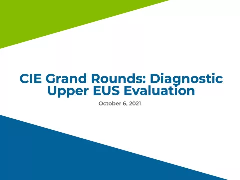 CIE Grand Rounds: Diagnostic Upper EUS Evaluation